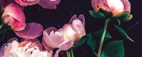 Розовые пионские цветы как цветочный фон, ботанический узор и роскошный брендинг — стоковое фото