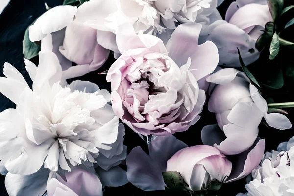 Flores de peônia pastel como fundo de arte floral, flatlay botânico e marca de luxo — Fotografia de Stock