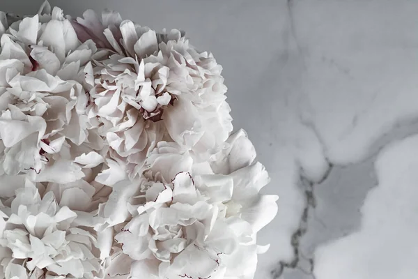 牡丹花束作为豪华花卉背景、婚礼装饰和活动品牌 — 图库照片