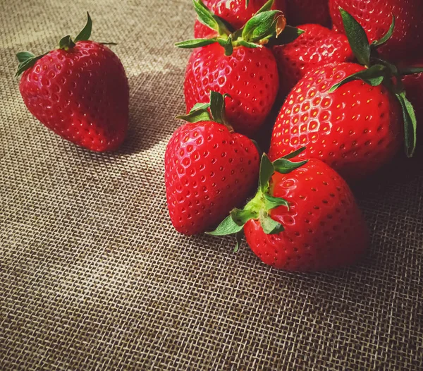 Bio-Erdbeeren auf rustikalem Leinenhintergrund — Stockfoto