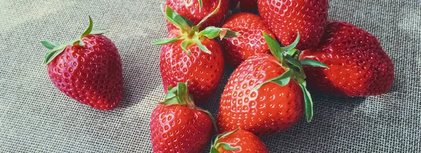 Ekologiska jordgubbar på rustik linne bakgrund — Stockfoto