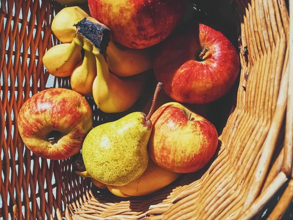 Hasır bir sepette organik elmalar, armutlar ve muzlar — Stok fotoğraf