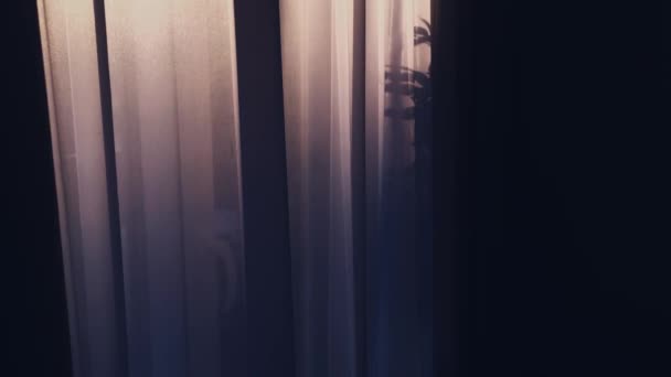 日落时的窗帘，由柔软的豪华面料、家居装饰和室内设计制成 — 图库视频影像