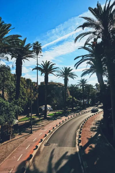 Carretera vacía y palmeras en el sur de la ciudad, viajes y naturaleza — Foto de Stock