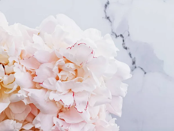 Bouquet of peony flowers on luxury marble background, wedding flatlay and event branding