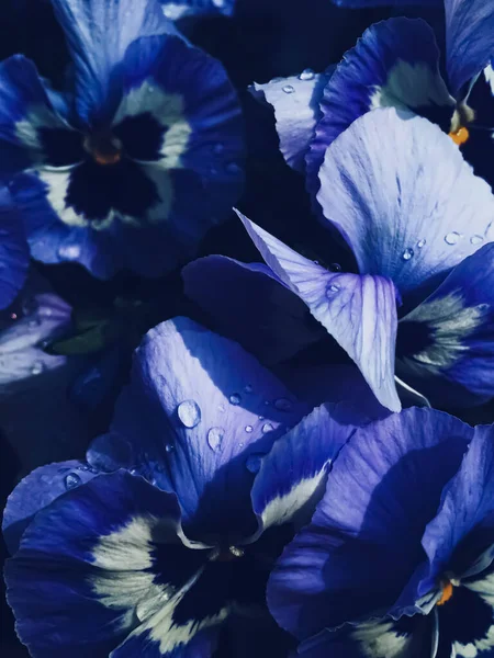 Blue flower on dark background, floral and nature