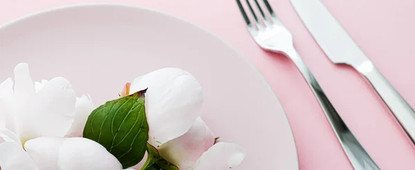 Placa de comedor y cubiertos con flores de peonía como decoración de la boda sobre fondo rosa, vajilla superior para la decoración del evento y la marca de menú —  Fotos de Stock