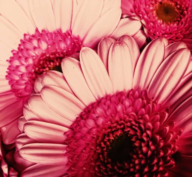 Soyut çiçek arkaplanı, bayram markaları için bir buket çiçek.