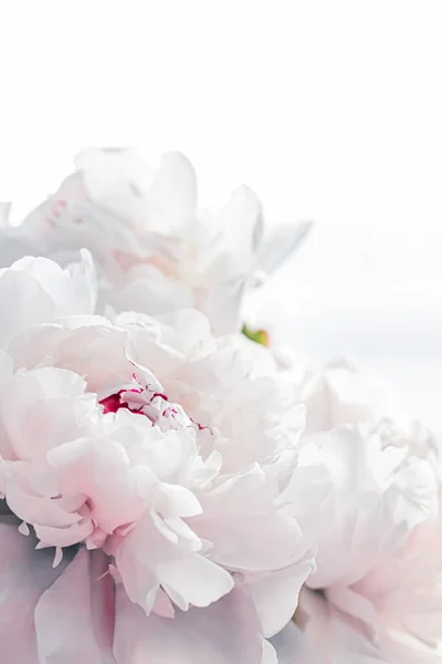 Bouquet of peony flowers as luxury floral background, wedding decoration and event branding