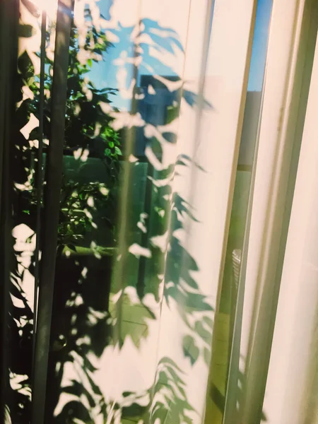 Rideaux sur la fenêtre au coucher du soleil — Photo