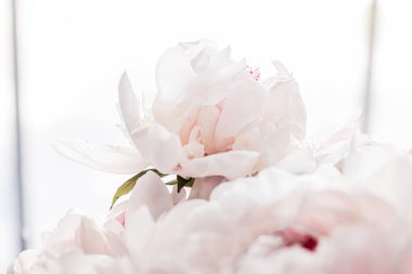 Çiçek buketi lüks bir çiçek arka planı, düğün dekorasyonu ve markalaşma.