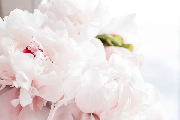 Ramo de flores de peonía como fondo floral de lujo, decoración de bodas y marca de eventos — Foto de Stock