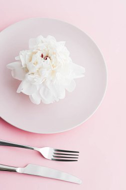 Pembe arka planda şakayık çiçekli yemek tabağı ve çatal bıçak seti. Etkinlik dekorasyonu ve tatlı menüsü için sofra takımı.