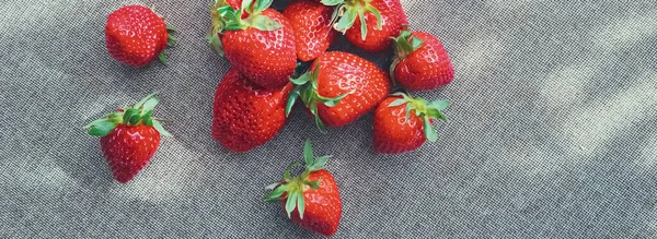 Fresas ecológicas sobre fondo de lino rústico — Foto de Stock