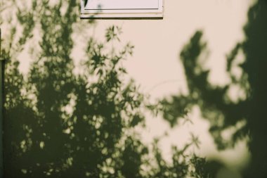 Duvardaki gölgeler, güneş ve güneş ışığı yaz günü gün batımında, doğa ve soyut