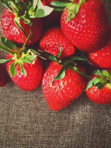 Bio-Erdbeeren auf rustikalem Leinenhintergrund — Stockfoto