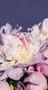 Şakayık çiçekleri lüks bir çiçek sanatı geçmişi, düğün dekorasyonu ve etkinlik markası olarak.