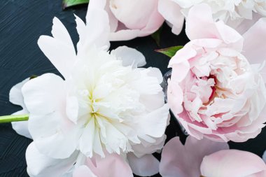 Çiçek olarak çiçek açan şakayık çiçekleri, bitki örtüsü ve lüks markalaşma