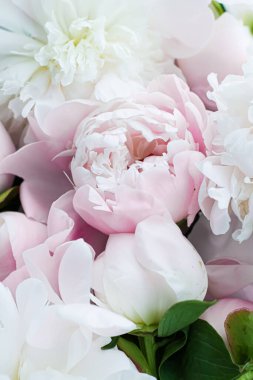 Çiçek olarak çiçek açan şakayık çiçekleri, bitki örtüsü ve lüks markalaşma