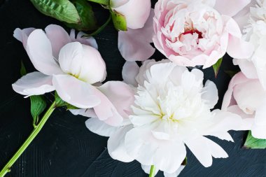 Çiçek olarak çiçek açan şakayık çiçekleri, bitki örtüsü ve lüks markalaşma