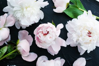 Çiçek olarak çiçek açan şakayık çiçekleri, bitki örtüsü ve lüks markalaşma