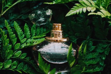 Parfüm şişesi, doğada tropik bir koku, lüks bir koku.