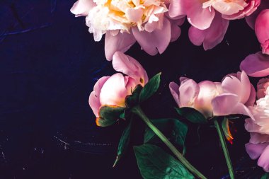 Çiçek olarak pembe şakayık çiçekleri, bitki örtüsü ve lüks markalaşma.