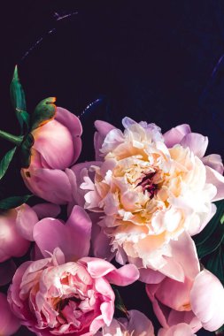 Çiçek olarak pembe şakayık çiçekleri, bitki örtüsü ve lüks markalaşma.