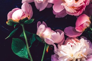 Çiçek olarak pembe şakayık çiçekleri, bitki örtüsü ve lüks markalaşma.