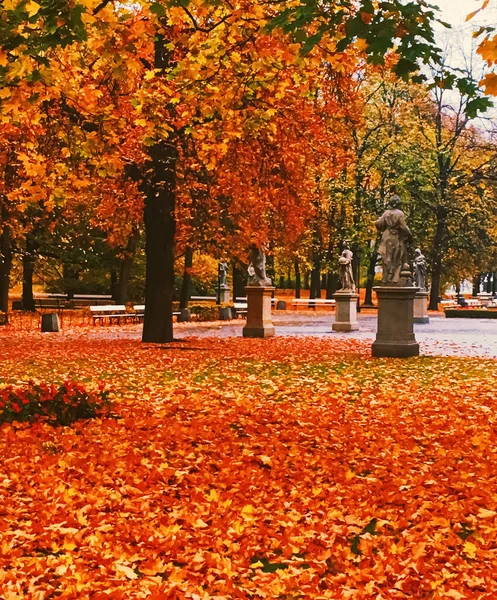 Natureza de outono no parque, folhas de queda e árvores ao ar livre — Fotografia de Stock