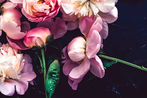 Розовые пионские цветы как цветочный фон, ботанический узор и роскошный брендинг — стоковое фото