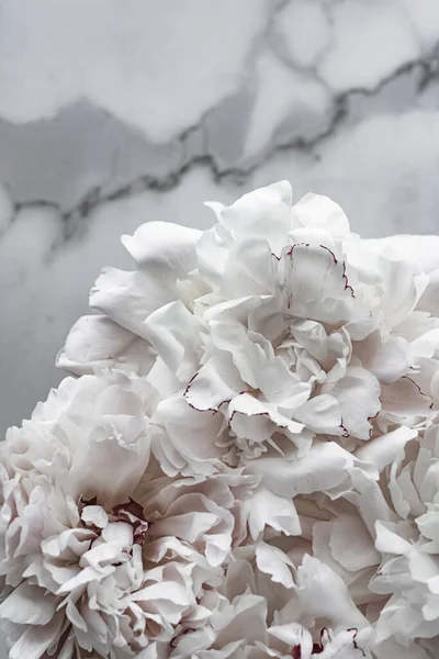 Bukett av pion blommor som lyx blommig bakgrund, bröllop dekoration och händelse branding — Stockfoto