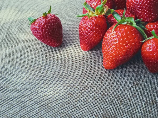 수수 한 리넨 배경에 있는 유기농 딸기 — 스톡 사진