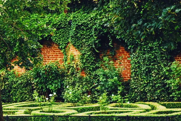 Jardim verde e paisagismo no parque da cidade — Fotografia de Stock