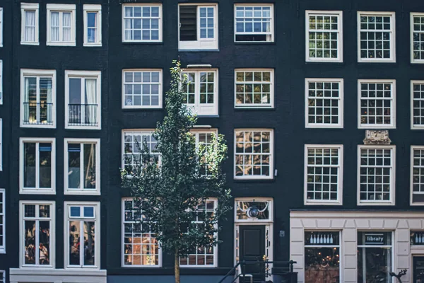 Calle principal del centro en el centro de Ámsterdam en los Países Bajos — Foto de Stock