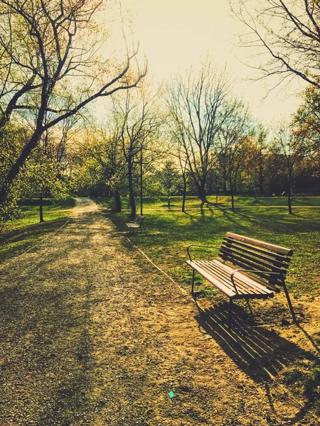 Пустая скамейка в парке во время изоляции города от пандемии коронавируса — стоковое фото
