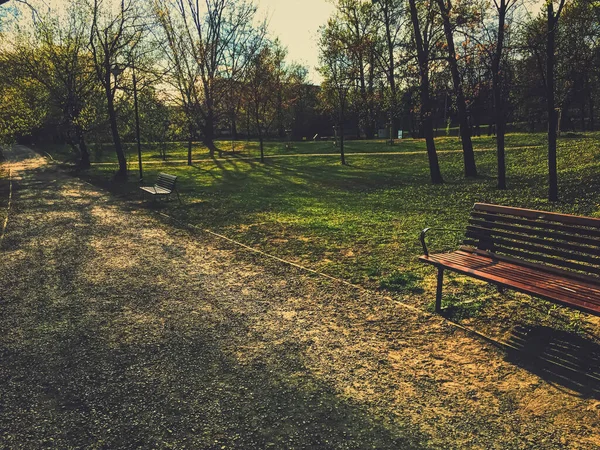 Lege bank in het park tijdens een stadsafsluiting bij een coronaviruspandemie — Stockfoto