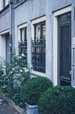 Hollanda 'daki Amsterdam şehir merkezindeki ana şehir caddesi.