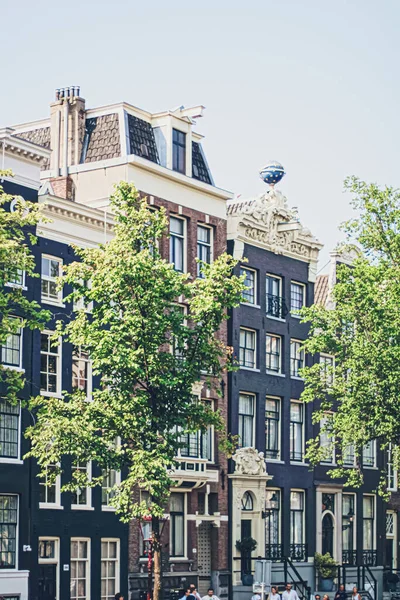 Calle principal del centro en el centro de Ámsterdam en los Países Bajos — Foto de Stock