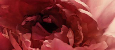 Kırmızı şakayık çiçeği, tatil markaları için soyut çiçek arkaplanı