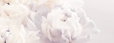 Çiçek açan şakayık çiçekleri menekşe arka planda çiçek olarak, düğün dekoru ve lüks markalaşma