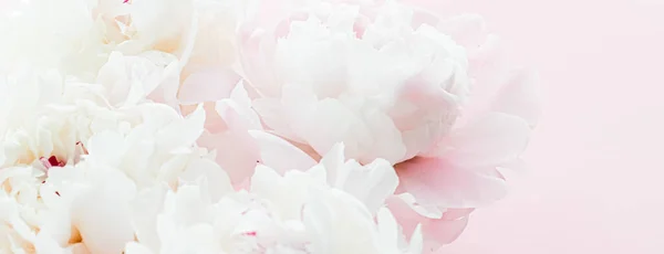 Flores de peonía blanca como arte floral sobre fondo rosa, flatlay boda y marca de lujo — Foto de Stock