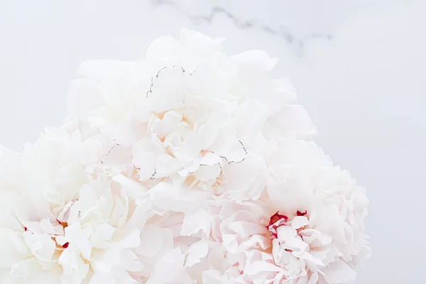 Buquê de flores de peônia como fundo floral de luxo, decoração de casamento e marca de evento — Fotografia de Stock