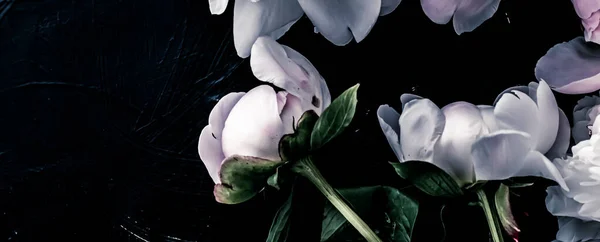 Pastelowe kwiaty piwonii jako tło sztuki kwiatowej, botaniczne płaskowyże i luksusowe marki — Zdjęcie stockowe