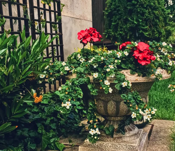 Belo jardim verde com flores no quintal de luxo — Fotografia de Stock