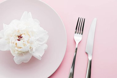 Pembe arka planda şakayık çiçekli yemek tabağı ve çatal bıçak seti. Etkinlik dekorasyonu ve tatlı menüsü için sofra takımı.