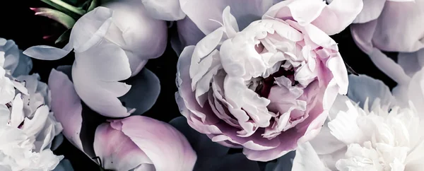 Pastellfarbene Pfingstrosenblüten als floraler Kunsthintergrund, botanische Flatlay und Luxus-Branding — Stockfoto