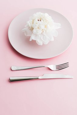 Pembe arka planda şakayık çiçekli yemek tabağı ve çatal bıçak seti. Etkinlik dekorasyonu ve tatlı menüsü için sofra takımı.