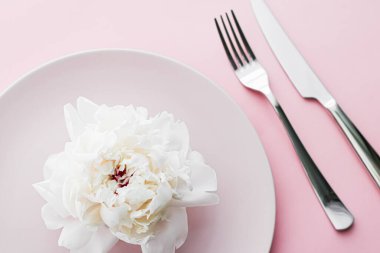 Pembe arka planda şakayık çiçekli yemek tabağı ve çatal bıçak seti. Etkinlik dekorasyonu ve tatlı menüsü için sofra takımı.