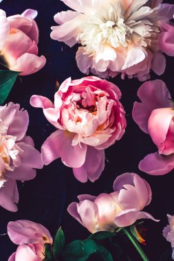 Çiçek olarak pembe şakayık çiçekleri, bitki örtüsü ve lüks markalaşma.